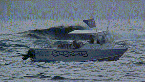 Sea Sports Boat off Bowen Is