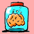 brain