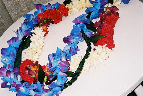 Leis from a friend...
