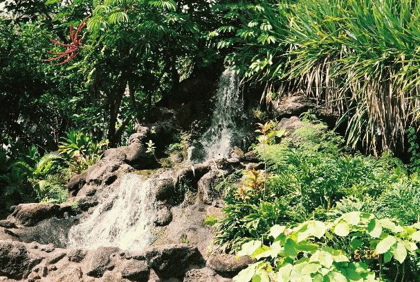 PCC, Hawaiian Village