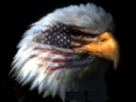 Be Patriotic!