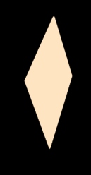 Fender Tid-Bits