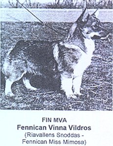 Fennican Vinna Vildros
