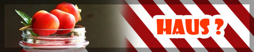 BannerMinuman
