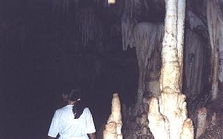 Bustamante 7