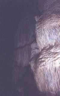 Bustamante 12