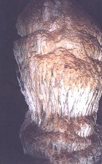 Bustamante 6