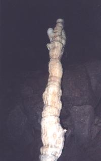 Bustamante 5