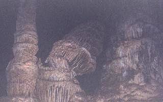 Bustamante 2