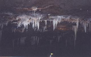 Bustamante 3