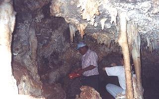 bustamante 4