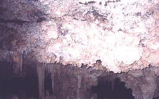 Bustamante 11