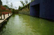 Rio Santa Lucia