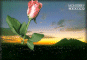Postal 11