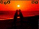 Postal 13