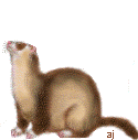 begloopan.gif