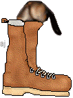 bootan.gif