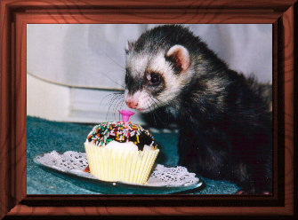 fuzzies009.jpg