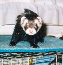 fuzzies025.jpg