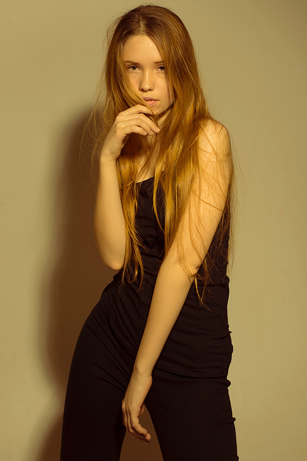 Modelo 4