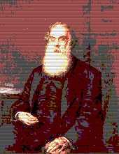Ant&oacute;nio Feliciano de Castilho