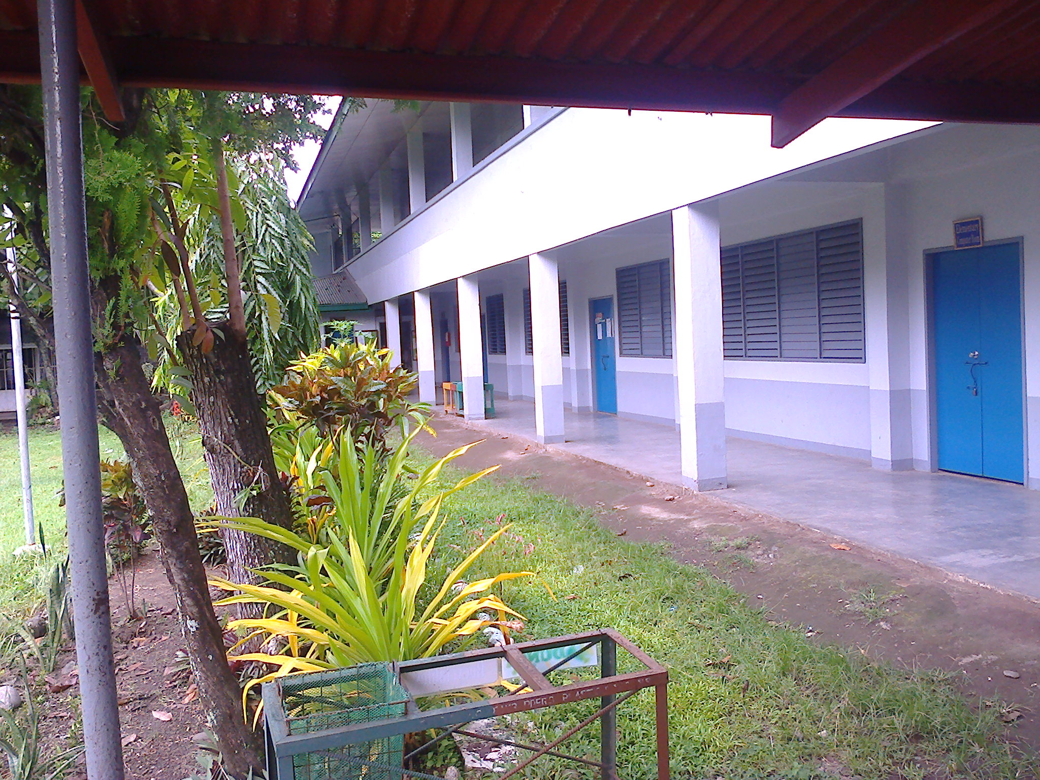 ca11