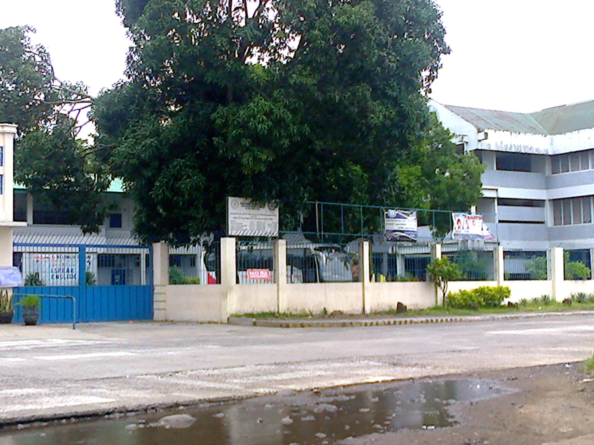 ca2