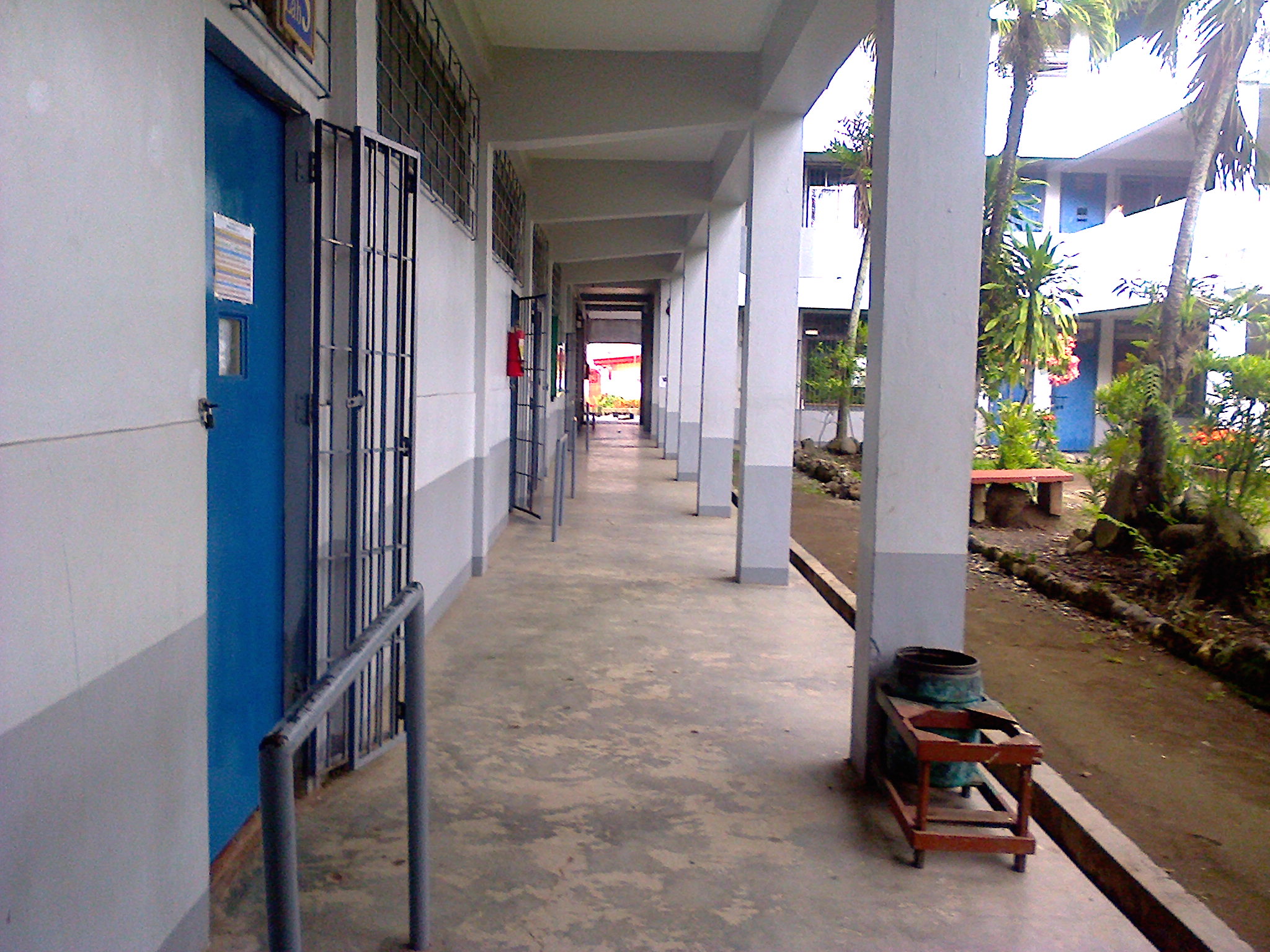 ca6