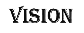 vision