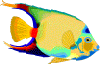 Peixe