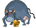 Vaca estrela