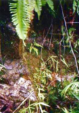 [k03.jpg]