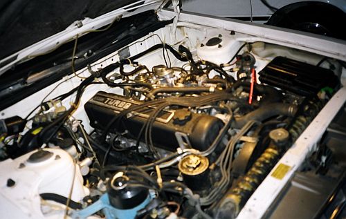 Laurel engine bay