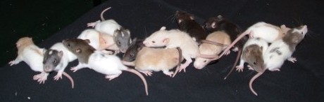 Group Shot!