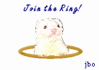 The Ferret Lovers WebRing