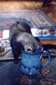 Arthur's Cup of Coffee