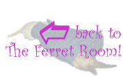 Back to The Ferret Room!