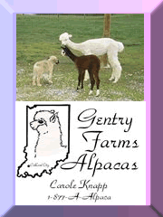 Gentry Farma Alpacas