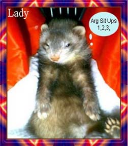 Lady&nbsp; "Sit Ups"