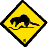 ferrets ahead
