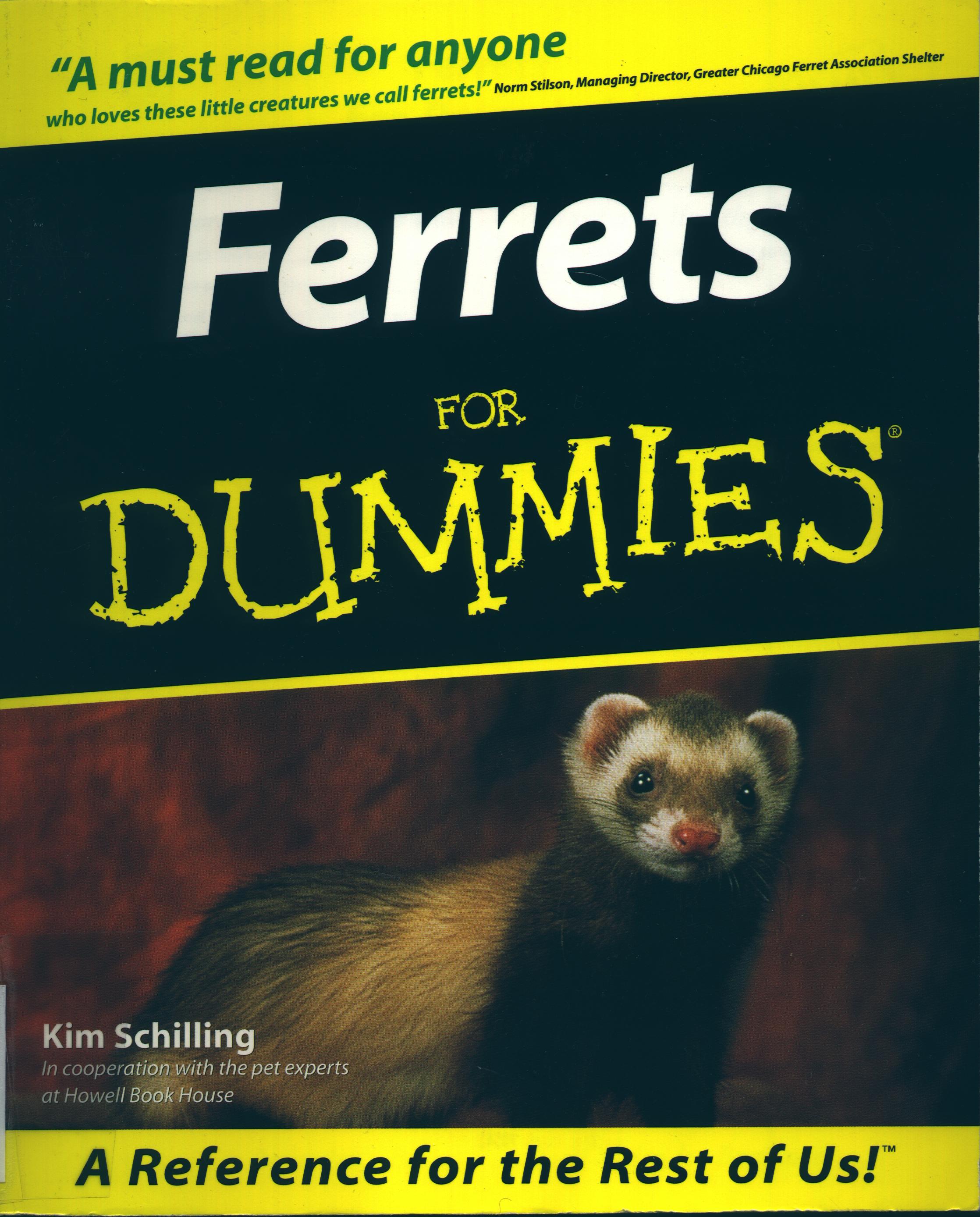 Ferrets for Dummies
