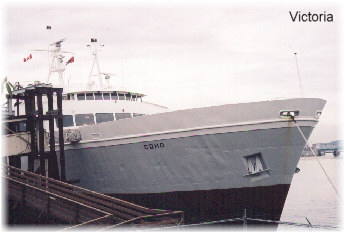 Coho