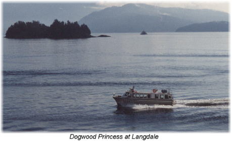 Dogwood Princess II