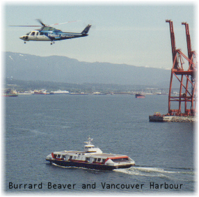 Burrard Beaver