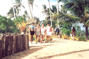 Ilha Para�so