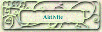 Aktivite