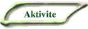 Aktivite