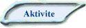 Aktivite