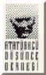 ATAT�RK�� D���NCE DERNE��