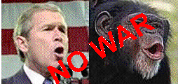 bush.GIF (20966 bytes)